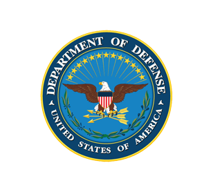 Safe BVM modern logo variant